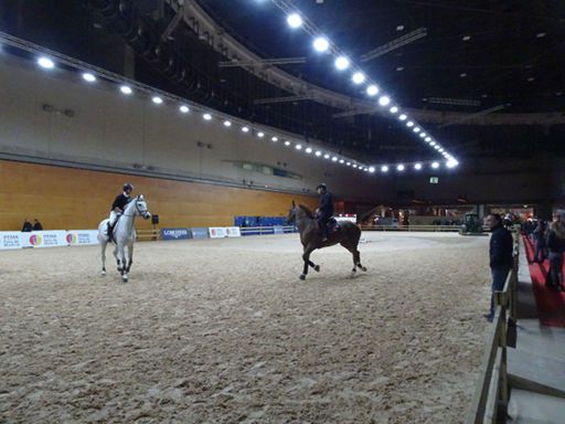 Madrid Horse Week 2019, Madrid, Spanien, Reitplatz in der Halle 12