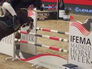 Madrid Horse Week 2019, Madrid, Spanien, Springreitturnier