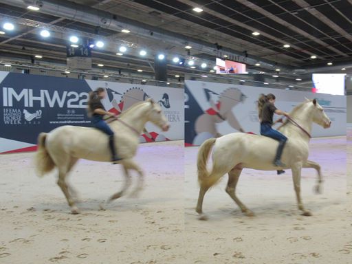 Madrid Horse Week 2022, Madrid, Spanien, Reiterin ohne Sattel und Trense