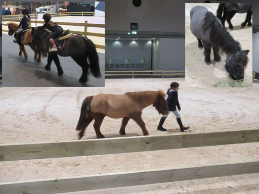 Madrid Horse Week 2022, Madrid, Spanien, Pony Reiten