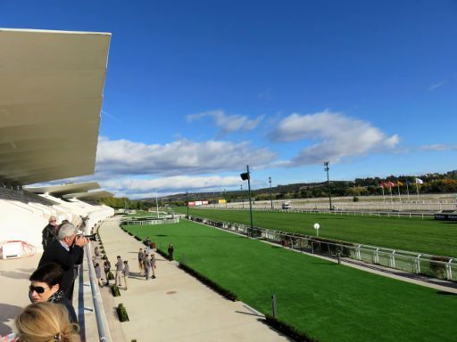 Hipotour, Pferderennbahn, Madrid, Spanien, Erster Halt der Führung bei der ersten Tribüne