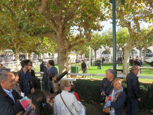 Hipotour, Pferderennbahn, Madrid, Spanien, Zweiter Halt der Führung beim Paddock