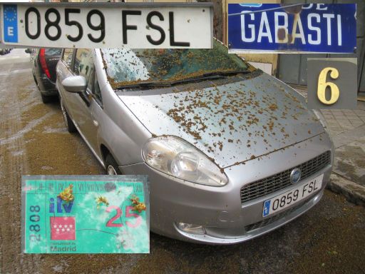 Vehículos abandonados, verlassene Fahrzeuge, Madrid, Spanien, Fiat Punto, Kennzeichen 0859 FSL, Erstzulassung Juli 2007, Calle Gabasti 6, 28027 Madrid im Mai 2026