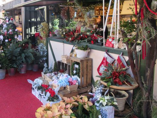 Weihnachtsmarkt El Corte Inglés 2025, Madrid, Spanien, Weihnachtsstern Pflanzen und Tannenverkauf