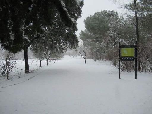 Madrid, Spanien, Winterwetter, La Quinta de los Molinos Park am 8.Januar 2021