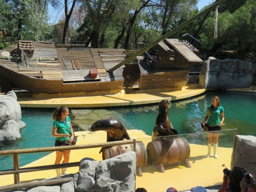 Zoo Aquarium, Madrid, Spanien, Seelöwen Vorführung