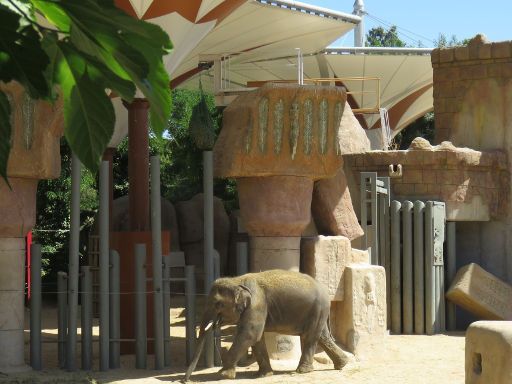 Zoo Aquarium, Madrid, Spanien, Elefant aus Blumen