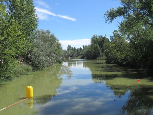 XVIII Travesía a nado Río Carrión 2025, Schwimmwettbewerb, Palencia, Spanien, 1100 m Strecke Richtung Puente Mayor und zurück