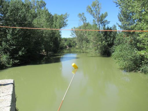 XVIII Travesía a nado Río Carrión 2025, Schwimmwettbewerb, Palencia, Spanien, 1100 m Strecke Richtung Norden und zurück