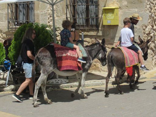 Mittelalterfest 2023, Pareja, Spanien, Eselreiten für Kinder