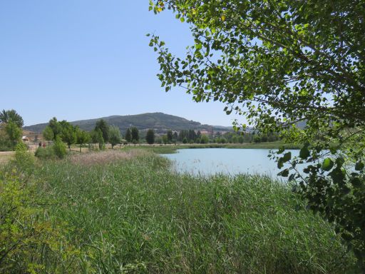 Stausee Entrepeñas, Pareja, Spanien, Schilf am Ufer und Rundweg um den See