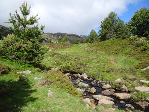 Pico de Urbión, Soria, Spanien, Bach