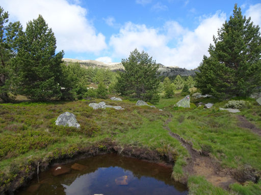 Pico de Urbión, Soria, Spanien, Wasserstelle