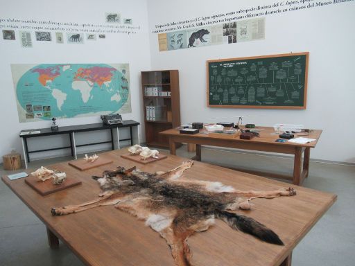 Centro del Lobo Ibérico de Castilla y León, Puebla de Sanabria, Robledo, Spanien, Ausstellung mit umfangreichen Informationen