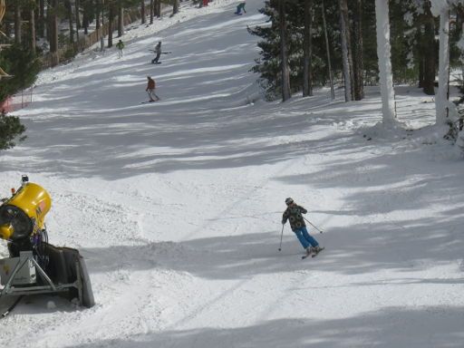 Skigebiet, Puerto de Navacerrada, Zona baja, Spanien, El Bosque Piste im Wald