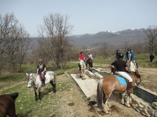 Caballos del Valle, Pferd Ausritt, Oteruelo del Valle, Spanien, Rast an Tränke