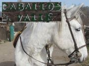 Caballos del Valle, Pferd Ausritt, Oteruelo del Valle, Spanien, Hinweisschild und Pferd