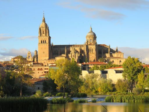 Salamanca, Spanien, Wahrzeichen der Stadt die Kathedralen und der Turm