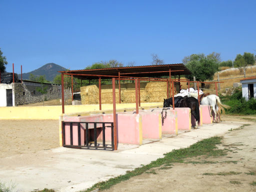 Finca El Recreo, Pferd Ausritt, San Martín de Valdeiglesias, Spanien, Pferde am Reitplatz