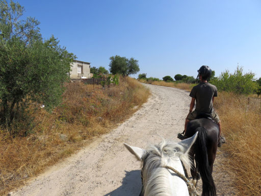 Finca El Recreo, Pferd Ausritt, San Martín de Valdeiglesias, Spanien, Ausritt auf dem Feldweg