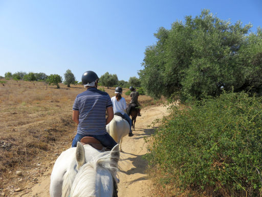 Finca El Recreo, Pferd Ausritt, San Martín de Valdeiglesias, Spanien, Ausritt mit vier Pferden