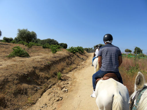 Finca El Recreo, Pferd Ausritt, San Martín de Valdeiglesias, Spanien, Weg zurück zum Reiterhof