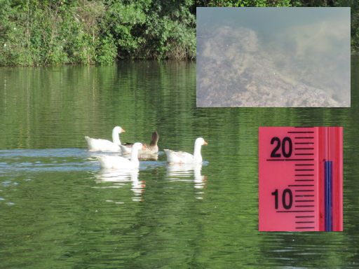 II. Travesía a nado de las Hoces del Duratón, Schwimmwettbewerb 2025, San Miguel de Bernuy, Spanien, Wasser und Wassertemperatur