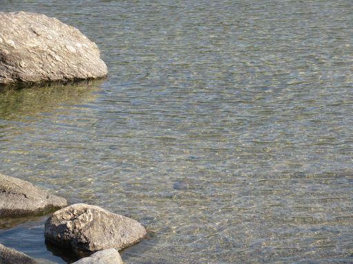 Lago de Sanabria, Schwimmwettbewerb 2021, Galende, Provinz Zamora, Spanien, Wasserqualität am Ufer