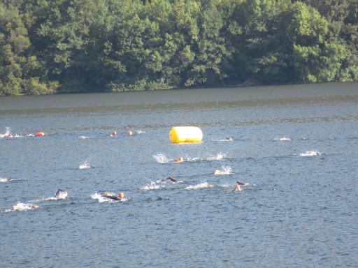 Lago de Sanabria, Schwimmwettbewerb 2021, Galende, Provinz Zamora, Spanien, Strecke 3000 m / 6000 m