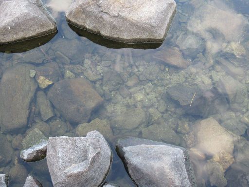 Lago de Sanabria, Schwimmwettbewerb 2022, Galende, Provinz Zamora, Spanien, Wasserqualität am Ufer