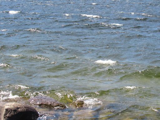 Lago de Sanabria, Schwimmwettbewerb 2023, Galende, Provinz Zamora, Spanien, Wellen beim Start 1500 m