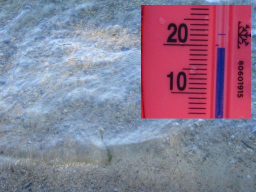 Lago de Sanabria, Schwimmwettbewerb 2026, Galende, Provinz Zamora, Spanien, Wasserqualit&auml;t und Temperatur am Ufer