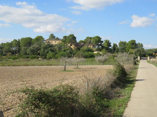 Els Calderers, Sant Joan, Mallorca, Spanien, Zufahrt zum Gut