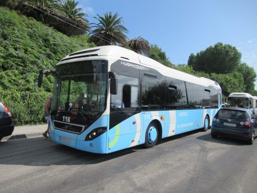VII Travesía a nado, Bomberos, Semana Grande de Santander 2025, Schwimmwettbewerb, Santander, Spanien, Busse zum Start