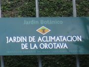 Teneriffa, Botanischer Garten, Spanien