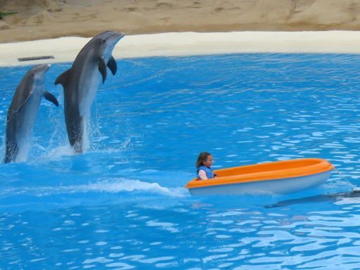 Teneriffa, Loro Parque, Spanien, Delfin zieht Boot mit Kind und zwei Delphine springen aus dem Wasser