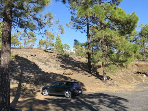 Teneriffa, Teide Nationalpark, Spanien, Rastplatz in bewalderter Zone