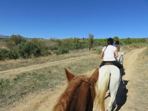 Finca Paraíso, Torrelaguna, Spanien, Ausritt mit sechs Pferden