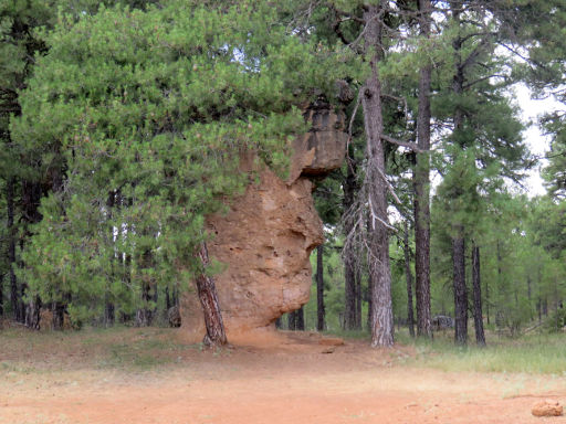 Ciudad Encantada, Valdecabras, Spanien, Cara del Hombre