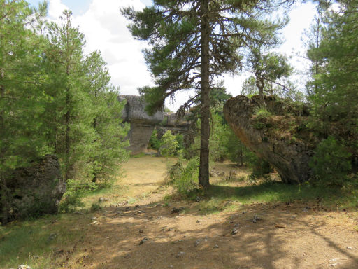 Ciudad Encantada, Valdecabras, Spanien, Hongos