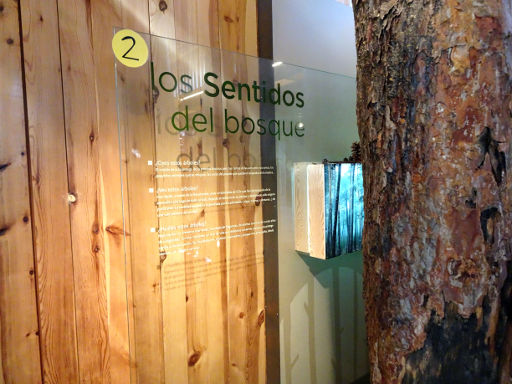 Waldmuseum, Museo del bosque, Vinuesa, Spanien, Sinne Wahrnehmung