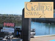 VII. Galipa Swim Zierbena, Schwimmwettbewerb 2025, Zierbena, Spanien, Start- Zielbereich