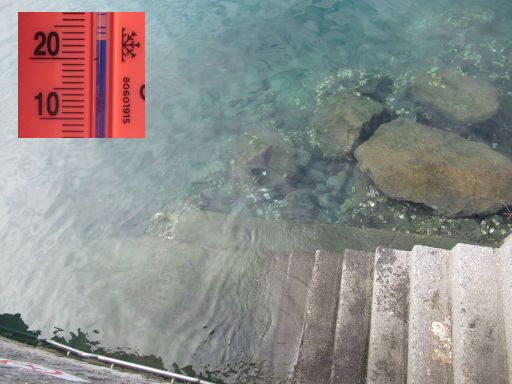 VIII. Galipa Swim Zierbena, Schwimmwettbewerb 2026, Zierbena, Spanien, Wasserqualit&auml;t und Wassertemperatur im Hafen