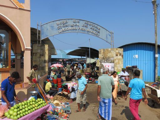 Negombo, Sri Lanka, Fischmarkt