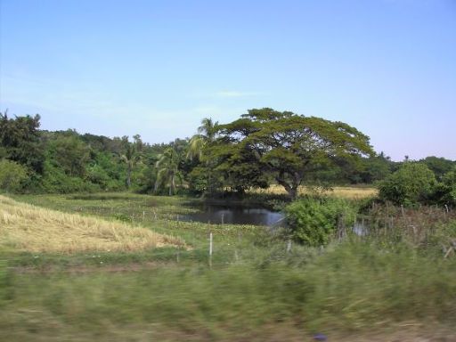 Home Stay, Nong Khai, Thailand, Landschaft in der Nähe von Nong Khai