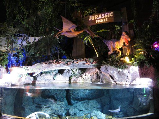 Bangkok, Thailand, Siam Ocean World, Aquarium mit Urzeitfischen