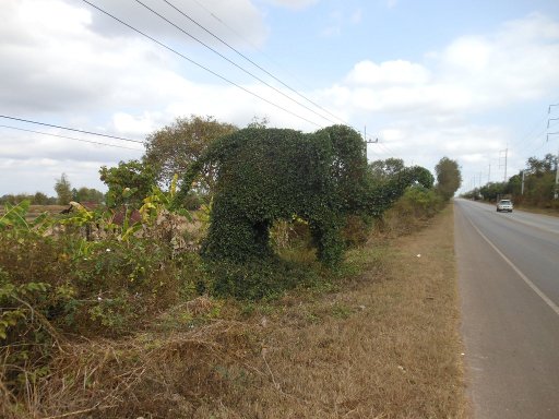 Isaan, Thailand, Mietwagen Rundreise, Landstraße