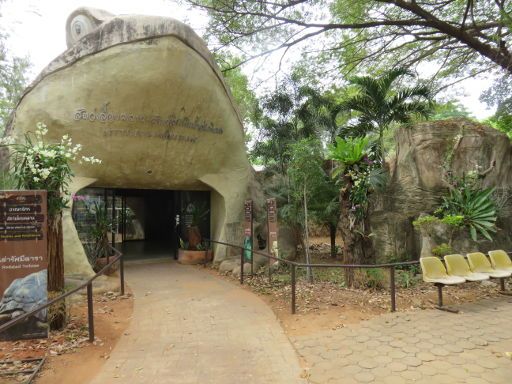 Nakhon Ratchasima Zoo, Nakhon Ratchasima, Thailand, Reptilien