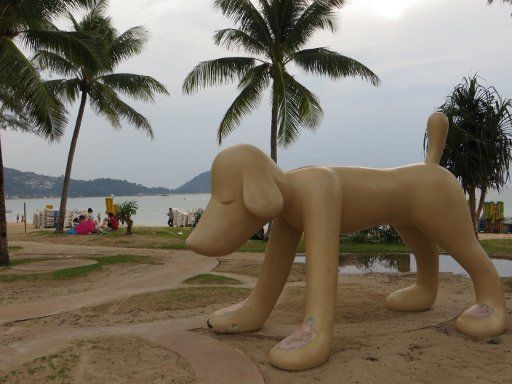 Patong, Phuket, Thailand, Phuket Hund an der Strandpromenade