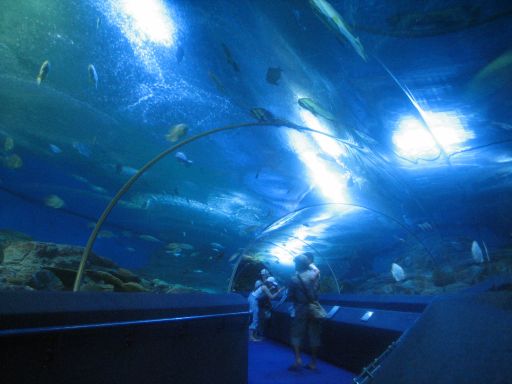 Underwater World, Pattaya, Thailand, Rundbogengang aus Glas